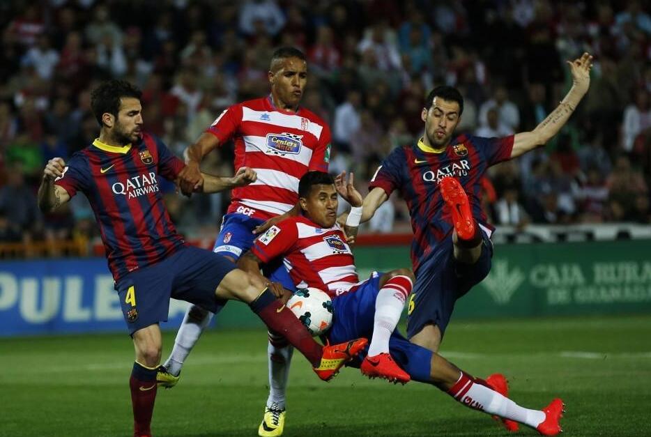 毛球界的顶 毛球界的顶